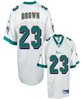 Miami Dolphin 23 Brown Youth White Jersey