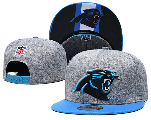 Panthers Team Logos Adjustable Gray Hat GS