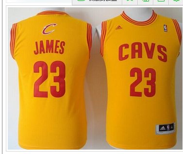 Youth NBA Revolution 30 Cavaliers #23 LeBron James Gold Stitched Jersey